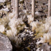 Gamers Grass Tufts: Spikey Winter - 12mm - Wild - for just $10.99! 