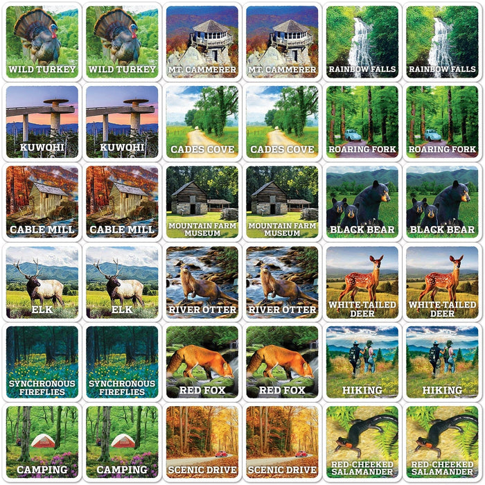 Jr. Ranger - Great Smoky Mountains Matching Game - for just $9.99! 