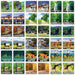 Jr. Ranger - Great Smoky Mountains Matching Game - for just $9.99! 