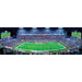 Tennessee Titans - 1000 Piece Panoramic Jigsaw Puzzle - for just $19.99! 