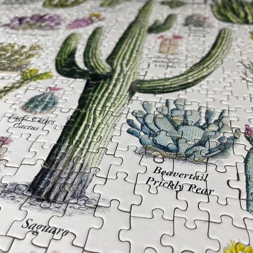 Cacti of the Desert Southwest 1000 Piece Jigsaw Puzzle - Just $16.99! Shop now at Retro Gaming of Denver