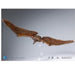 Godzilla: King of the Monsters (Exquisite Basic) Rodan Flameborn PX Action Figure - for just $57.02! 