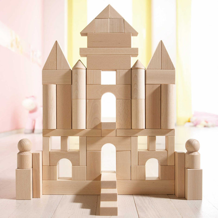 Basic Building Blocks 60 Piece Large Starter Set - Premium Architectural Blocks - Just $99.99! Shop now at Retro Gaming of Denver