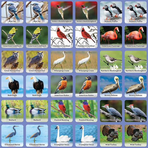 Audubon - Bird Matching Game - for just $9.99! 