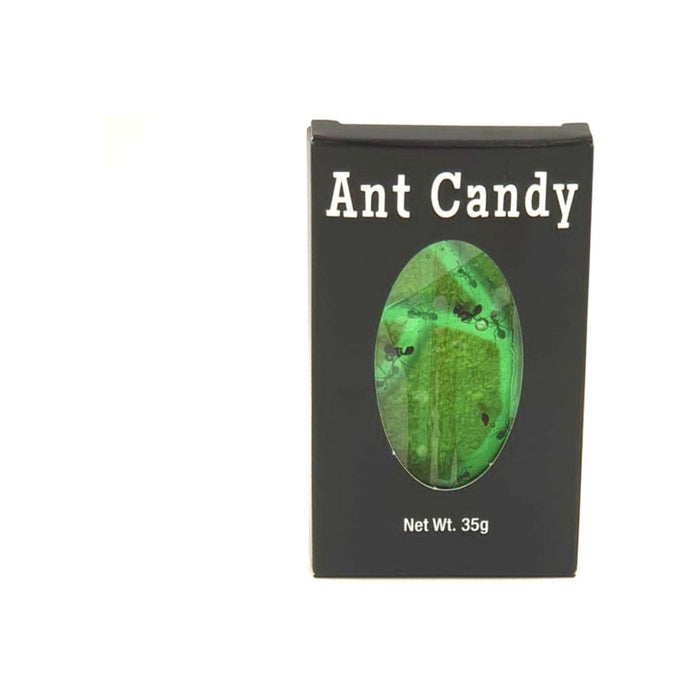 Ant Candy with Real Black Ants - Just $4.95! Shop now at Retro Gaming of Denver