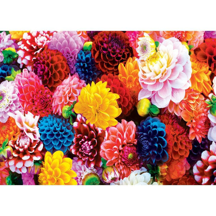 Brilliance - Beautiful Blooms 500 Piece Jigsaw Puzzle - for just $14.99! 