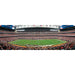 Houston Texans - 1000 Piece Panoramic Jigsaw Puzzle - for just $19.99! 