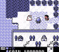 For the Frog the Bell Tolls RPG English Translated Repro Gameboy Nintendo - for just $19.99! 