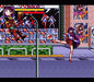 Sailor Moon Sega Genesis Beat 'em Up Classic Game - for just $19.99! 