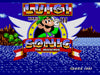 Luigi in Sonic the Hedgehog Sega Genesis Game Cart - for just $19.99! 