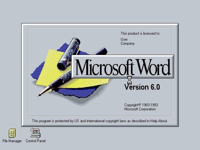Microsoft Word 6 for Windows 3.11 & MS-DOS Floppy Disk Lot - for just $24.99! 