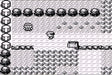 Pokemon Red Version Repro Gameboy Cart Game - for just $19.99! 