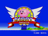 Kirby in Sonic the Hedgehog 2 Sega Genesis Game Cart Repro - for just $19.99! 