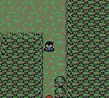 Pokemon Prism Gameboy Boy Color Repro Game Cart - for just $24.99! 