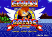 Sally Acorn in Sonic the Hedgehog Sega Genesis Game Repro Cart Game - for just $19.99! 