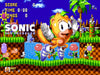 Ray the Flying Squirrel in Sonic the Hedgehog Sega Genesis Game Cart Repro - for just $19.99! 