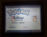 Pokemon Ash Hoenn GBA Video Game Rare GameBoy Advance Custom ROM - for just $18.49! 