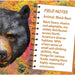 Black Bear 100 Piece Shaped Jigsaw Puzzle - for just $7.99! 