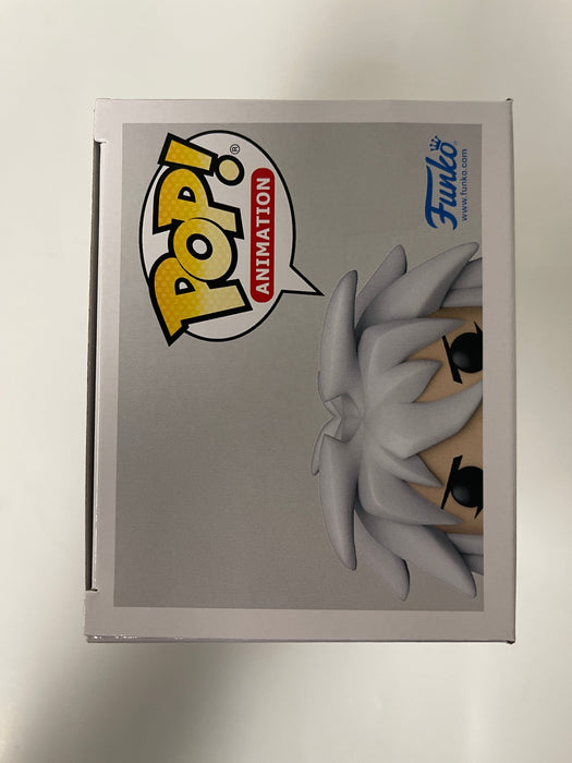 Funko Pop! Animation Yami Bakura With Millenium Ring #1061 Yu-Gi-Oh! 25th Anniversary 2021 - for just $13! 