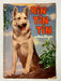 Four Color (1942) #434 Rin Tin Tin #1 Photo Cover Sparky Moore Art TV Show - for just $20! 