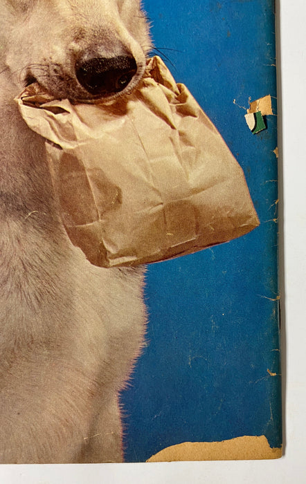 Four Color (1942) #434 Rin Tin Tin #1 Photo Cover Sparky Moore Art TV Show - for just $20! 