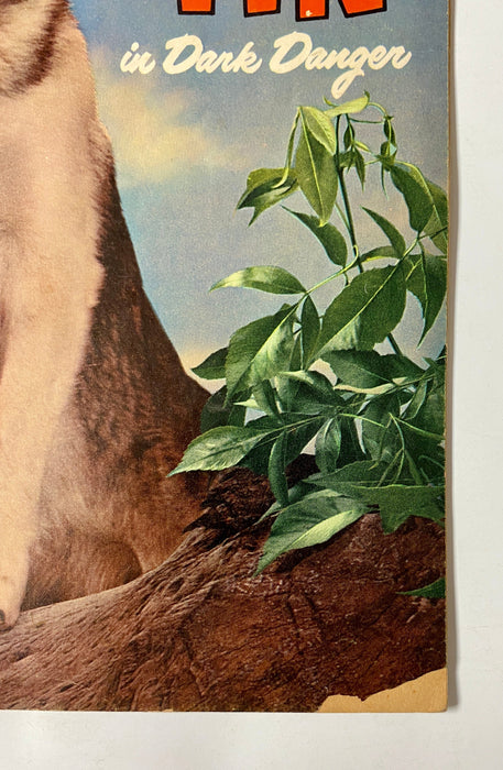 Four Color (1942) #434 Rin Tin Tin #1 Photo Cover Sparky Moore Art TV Show - for just $20! 