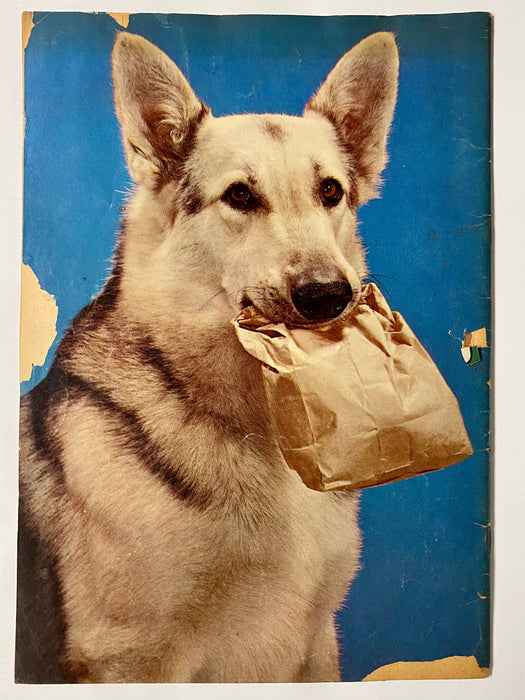 Four Color (1942) #434 Rin Tin Tin #1 Photo Cover Sparky Moore Art TV Show - for just $20! 