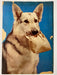 Four Color (1942) #434 Rin Tin Tin #1 Photo Cover Sparky Moore Art TV Show - for just $20! 