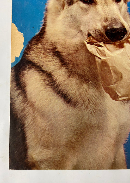 Four Color (1942) #434 Rin Tin Tin #1 Photo Cover Sparky Moore Art TV Show - for just $20! 