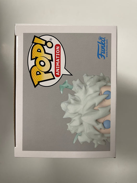 Funko Pop! Animation Killua Zoldyck #1106 Hunter X Hunter 2022 AAA Anime Exclusive - for just $20! 