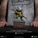 Iron Studios SDCC 2023 Teenage Mutant Ninja Turtles MiniCo. Vinyl Figure PREVIEWS Exclusive - Select Figure(s) - for just $41.99! 