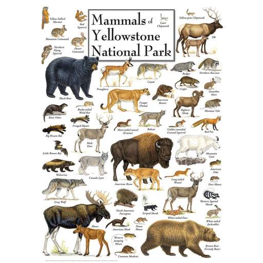 Mammals of Yellowstone National Park 1000 Piece Jigsaw Puzzle - Just $16.99! Shop now at Retro Gaming of Denver