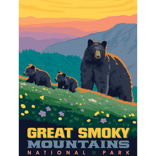 Great Smoky Mountains National Park 300 Piece Jigsaw Puzzle - for just $12.99! 
