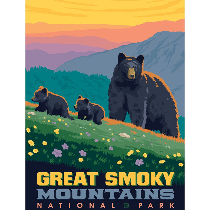 Great Smoky Mountains National Park 300 Piece Jigsaw Puzzle - for just $12.99! 