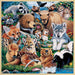 Wood Fun Facts - Forest Friends 48 Piece Wood Jigsaw Puzzle - Just $12.99! Shop now at Retro Gaming of Denver