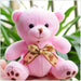 Kawaii Mini Plush Teddy Bear Keychain – Soft 10CM Stuffed Toy - for just $14.95! 