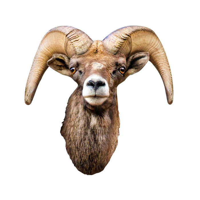 Desert Bighorn Sheep 100 Piece Shaped Jigsaw Puzzle - for just $7.99! 