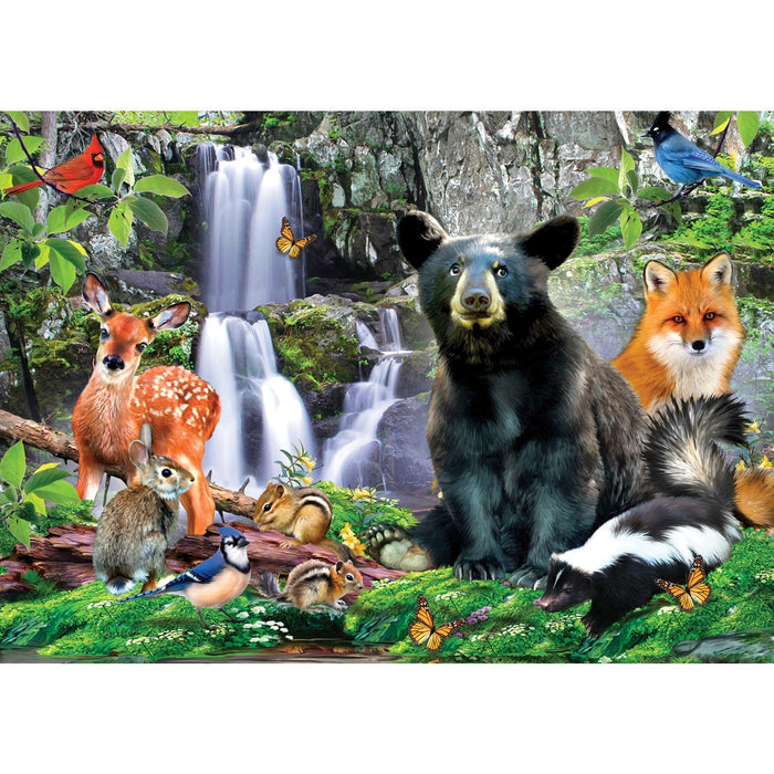 Shenandoah National Park 500 Piece Jigsaw Puzzle - for just $14.99! 