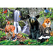 Shenandoah National Park 500 Piece Jigsaw Puzzle - for just $14.99! 