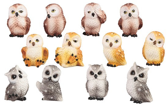 Assorted Mini Owl - Random - for just $4! 