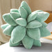 25/45cm Lifelike Succulent Plants Plushie - for just $22.95! 