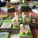 Llamaland - for just $44.99! 
