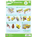 Sesame Street - School Bus Cardboard Buildable Craft Kit - Just $6.99! Shop now at Retro Gaming of Denver