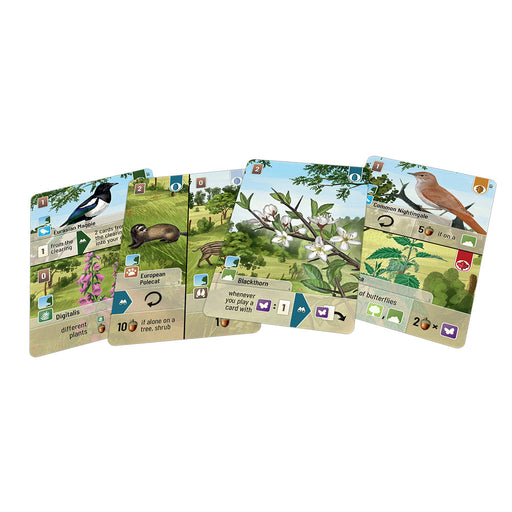 Forest Shuffle: Woodland Edge Expansion - for just $12.99! 