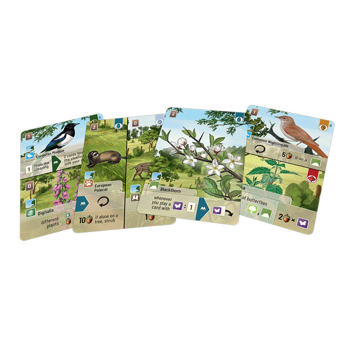 Forest Shuffle: Woodland Edge Expansion - for just $12.99! 