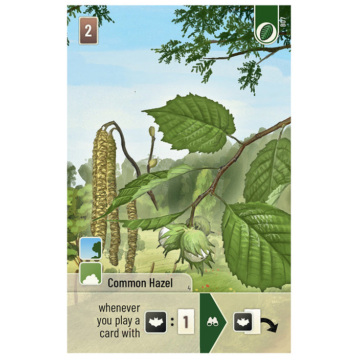 Forest Shuffle: Woodland Edge Expansion - for just $12.99! 