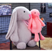 Long Ear Bunny Plushie - for just $14.97! 