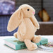 Long Ear Bunny Plushie - for just $14.97! 