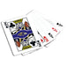 Baltimore Ravens 300 Piece Poker Set - for just $124.99! 