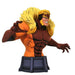 Marvel Animated X-Men 1/7 Scale Resin Bust - Select Figure(s) - for just $22.23! 